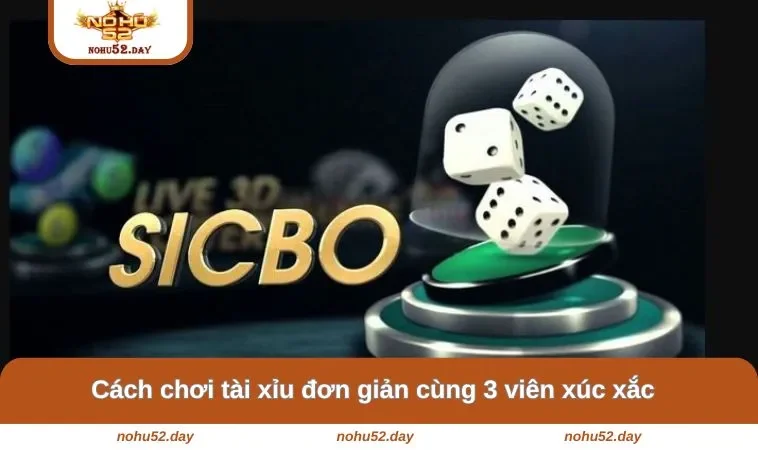 cach choi tai xiu cung 3 vien xuc Cách chơi tài xỉu đơn giản cùng 3 viên xúc xắc