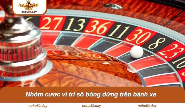 nhom cuoc vi tri so bong dung tren banh Nhóm cược vị trí số bóng dừng trên bánh xe